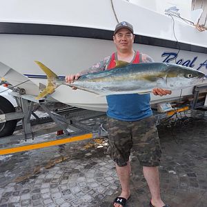 Yellowtail Fishing in South Africa