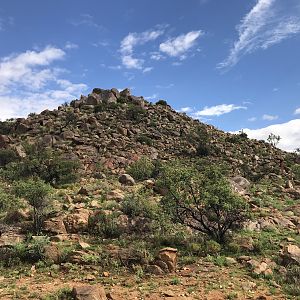 Namibia Hunt