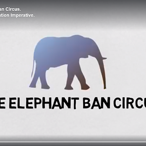 The Elephant Trophy Ban Circus