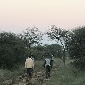 Namibia Hunt