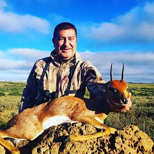 Steenbok Hunting South Africa