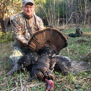 Hunting Turkey in Canada