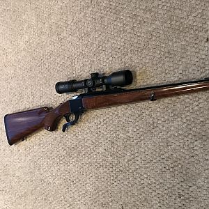 Ruger No1 in 6.5x55 Rifle