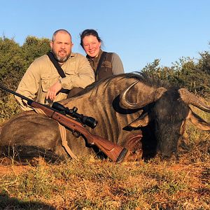 South Africa Hunting Blue Wildebeest