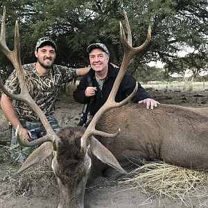 Hunt Red Stag in Argentina