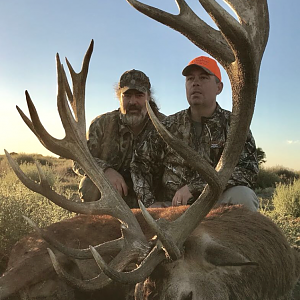 Argentina Hunt Red Stag