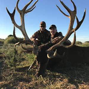 Hunting Red Stag in Argentina