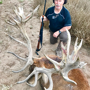 Argentina Hunting Red Stag