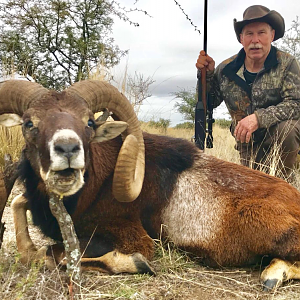Hunt Mouflon in Argentina