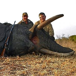 Elephant Hunting