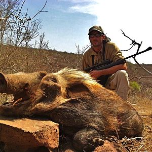 Bushpig Hunt