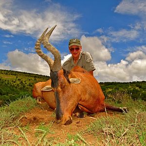 Red Hartebeest Hunt