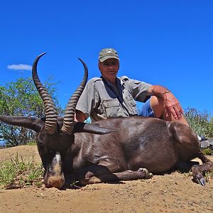 Hunt Black Springbok