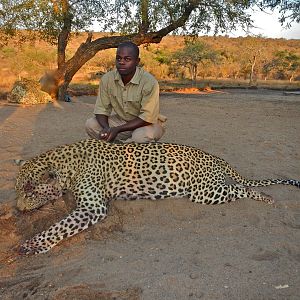 Leopard Hunting