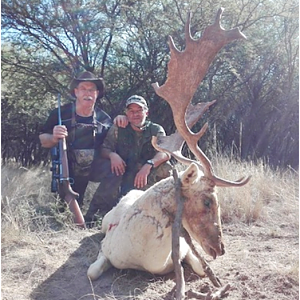 Hunting Fallow Deer in Argentina