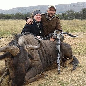 Crossbow Hunting Blue Wildebeest South Africa