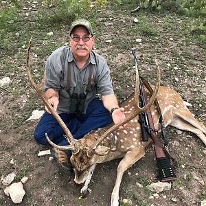 USA Hunt Axis Deer