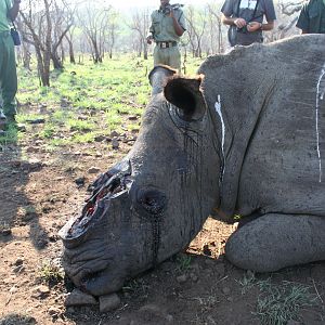 Anti Poaching