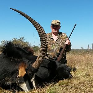 Hunting Sable in South Africa