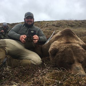 Brown Bear Hunt Alaska