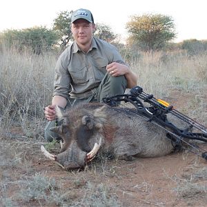 Bow Hunting Warthog South Africa