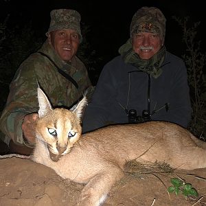 South Africa Hunt Caracal