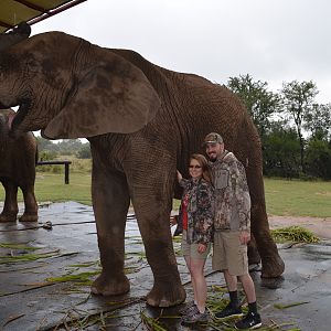 Spending some time with the Elephants