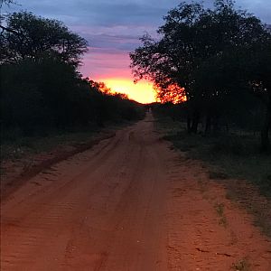 South Africa Landscape