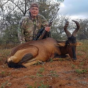 Hunting Red Hartebeest in South Africa