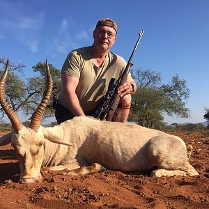 White Blesbok Hunt in South Africa