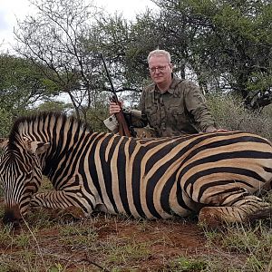 Hunt Burchell's Plain Zebra South Africa