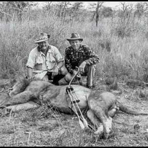 Lion Bow Hunt