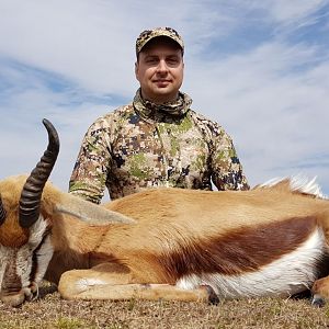 South Africa Bow Hunting Springbok