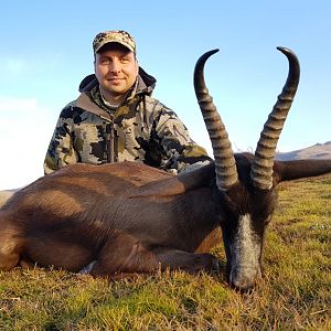 Bow Hunting Black Springbok
