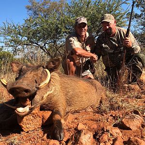 Hunt Warthog in South Africa