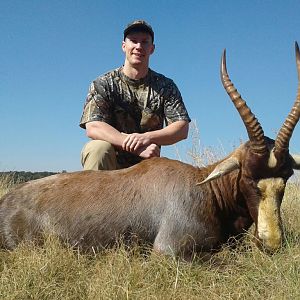 Hunting Blesbok in South Africa