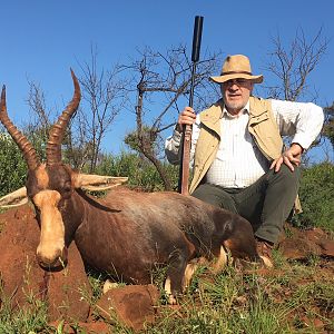 South Africa Hunt Blesbok