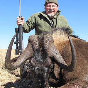 Black Wildebeest Hunt South Africa