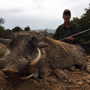 South Africa Hunt Warthog