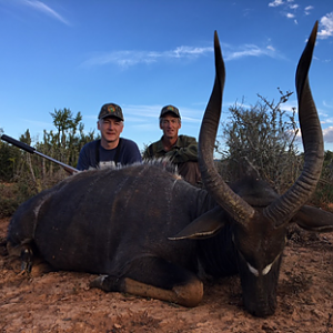 South Africa Hunting Nyala