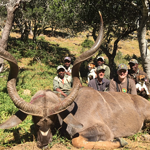 Kudu Hunting South Africa