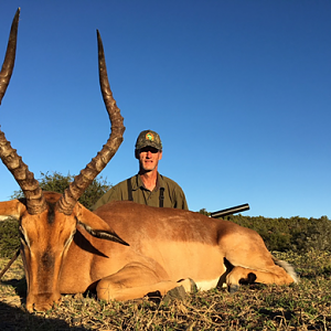 South Africa Hunt Impala