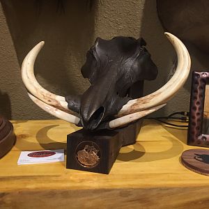 Warthog Bronzed Skull