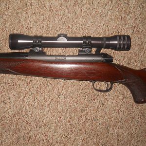 .270 Win Model 70 Rifle