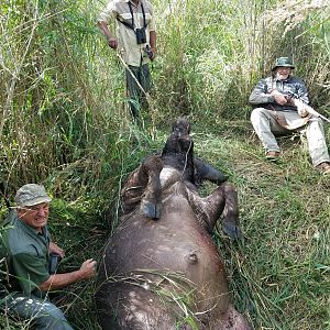 Buffalo Hunting in South Africa