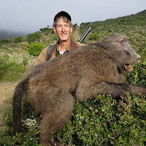 South Africa Hunt Baboon