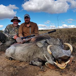 Hunt Warthog South Africa