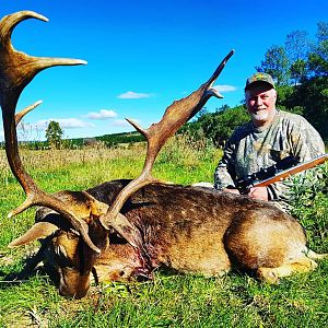 Hunting Fallow Deer South Africa