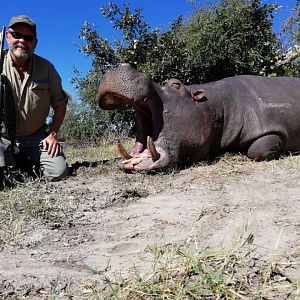 Hippo Hunt in Namibia