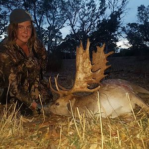 Australia Hunt Fallow Deer